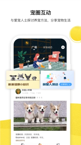 宠陪陪最新版图4