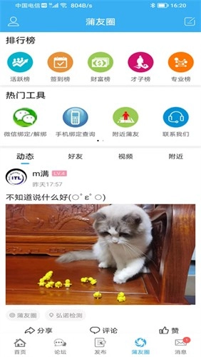 蒲公英安卓版