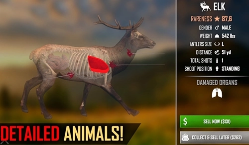 美国射手最新版(5)