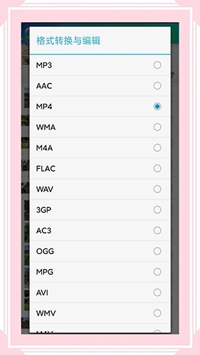 风云格式工厂版