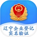 辽宁企业登记实名验证最新版