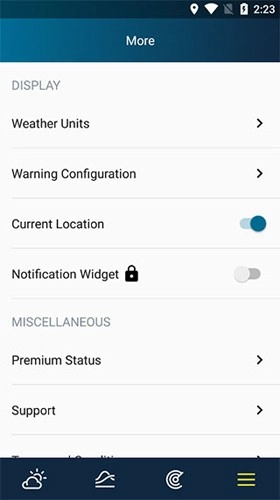 WeatherPro 