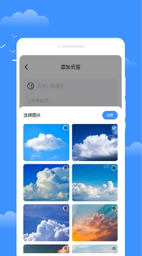 星雾天气(2)