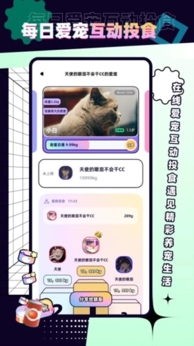 PetPet陪陪安卓版