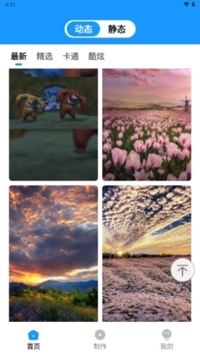 企鹅壁纸手机版