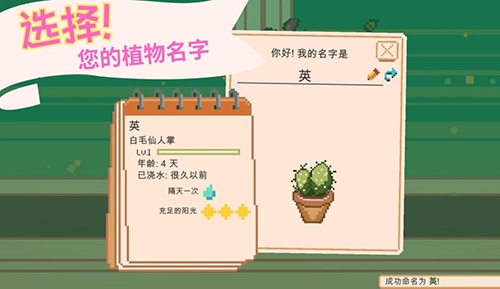 窗边花园游戏(2)
