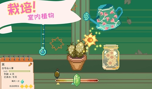 窗边花园游戏(1)