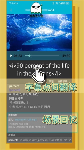 单词播放器软件