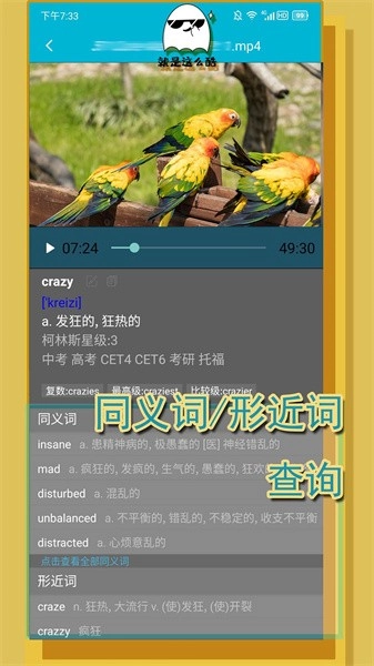 单词播放器软件