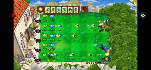 植物大战僵尸hsr版图3