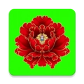 绿植花卉 V10.0.6
