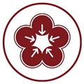 梅花书检在线书法字典平台