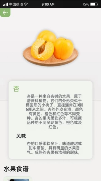 指尖果园最新版