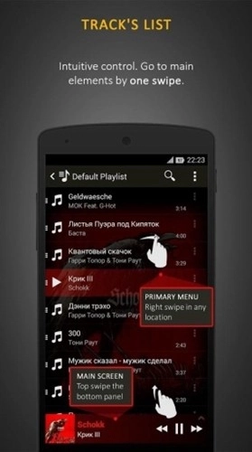 蜥蜴音乐播放器高级专业版