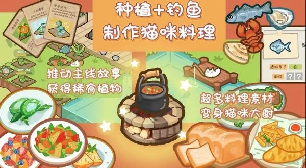 猫屎香最新版(3)