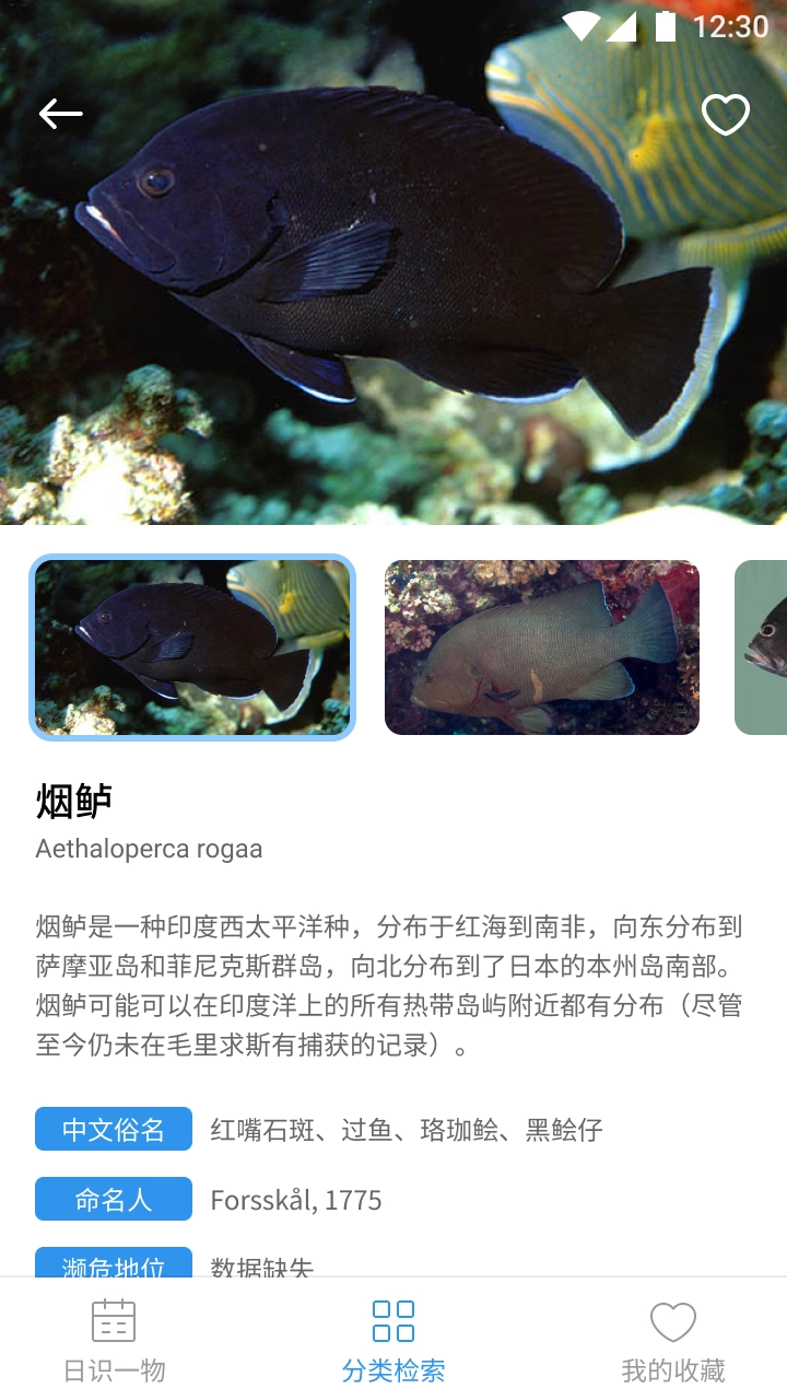 奇妙海洋图3