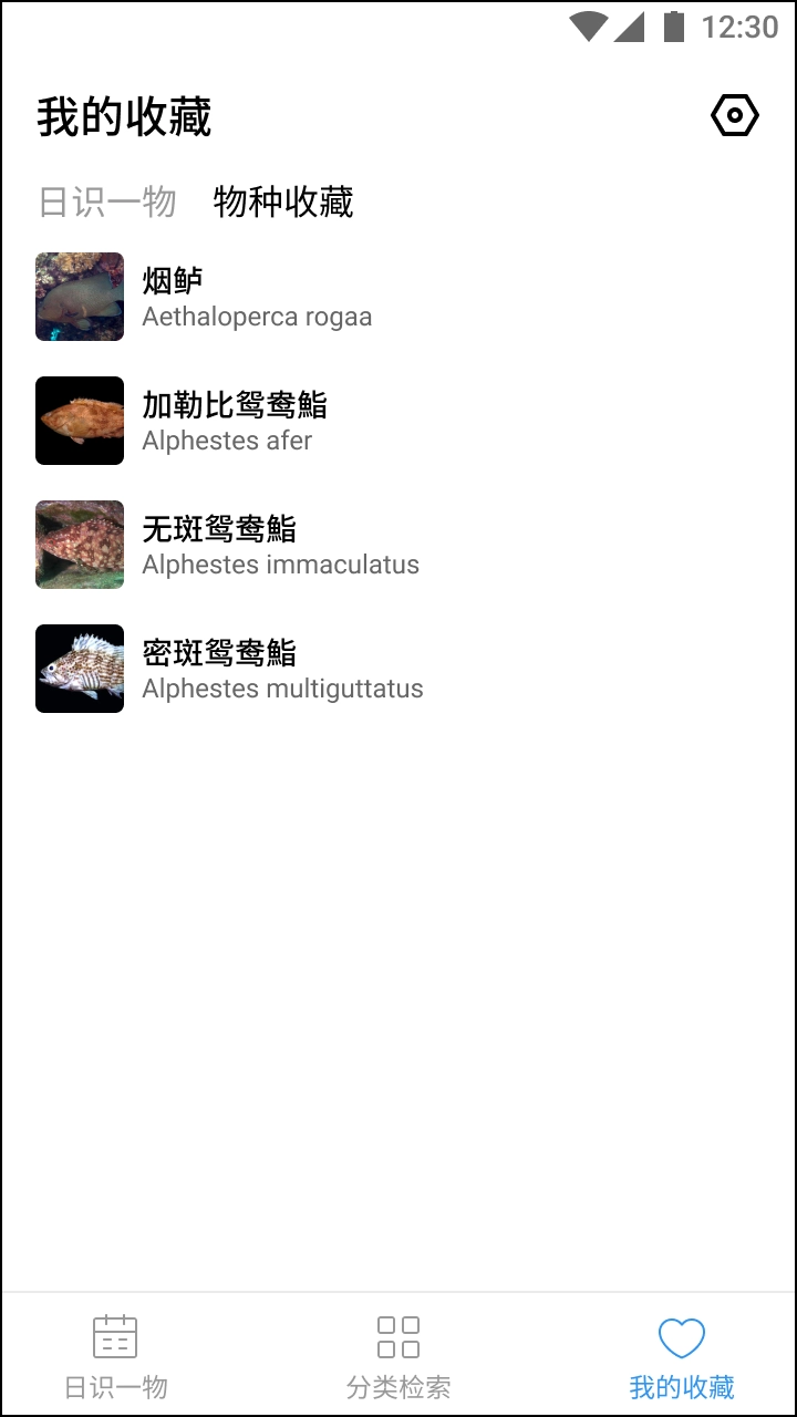 奇妙海洋图4