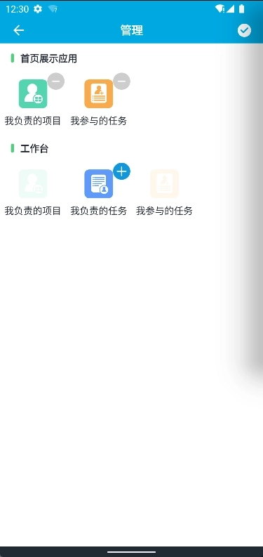 麦普项目管理图4