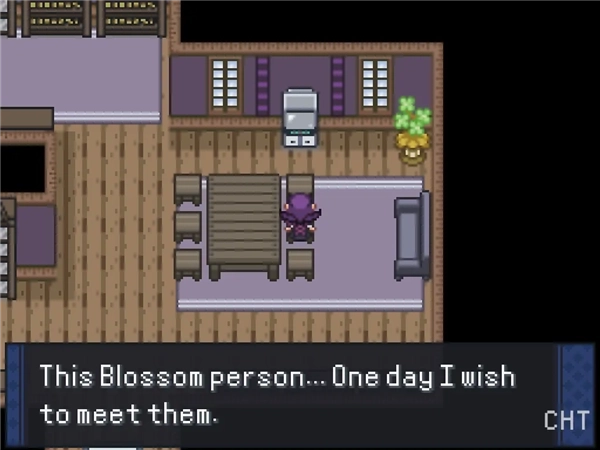 宝可梦复兴最终版