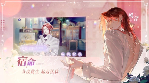 黑猫奇闻社oppo版(5)