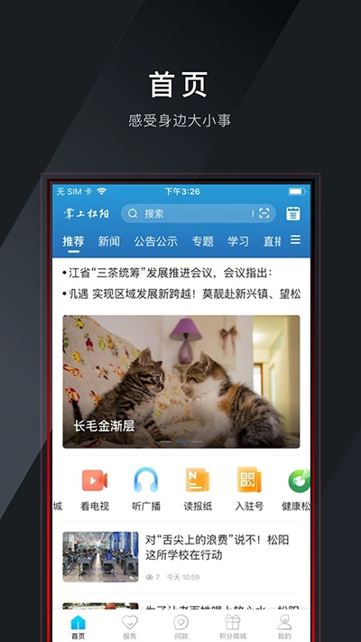 掌上松阳图1