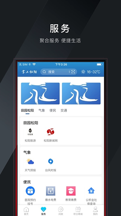 掌上松阳图2