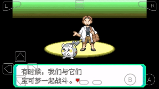 口袋妖怪黑白汉化版(3)
