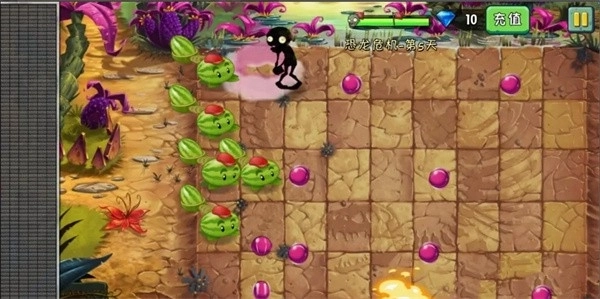 植物大战僵尸2战版(6)