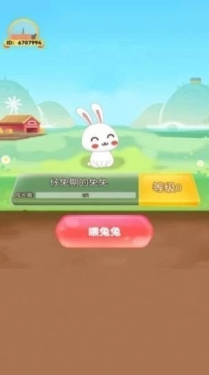 新年大白兔(1)