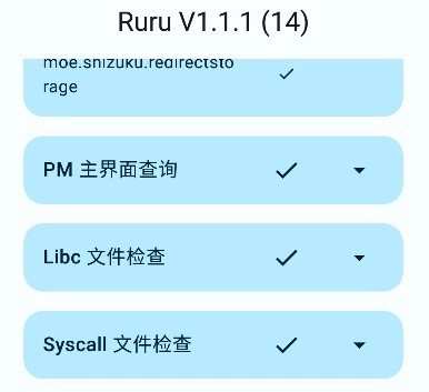 Ruru检测