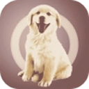 人狗交流器 v2.0.3