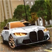 驾驶学校模拟器evo汉化版