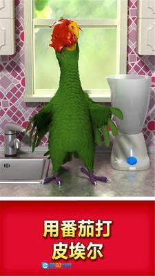 会说话的鹦鹉图1