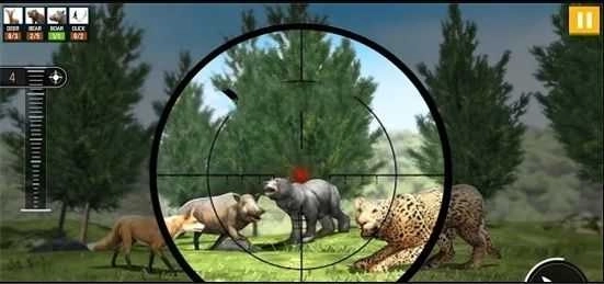 野生动物狩猎(3)