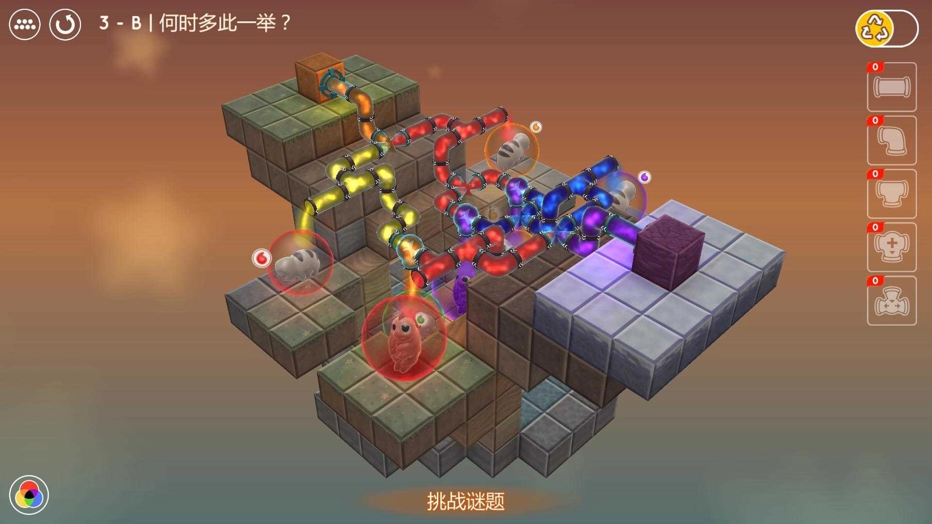 水熊(Water Bears)图2