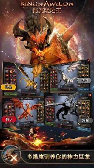 阿瓦隆之王游戏图4