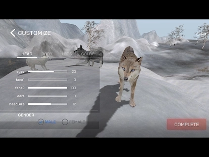Wolf Online 2(3)