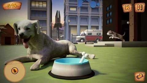 虚拟宠物逃脱图3