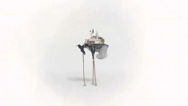 行走的老鲸鱼(1)