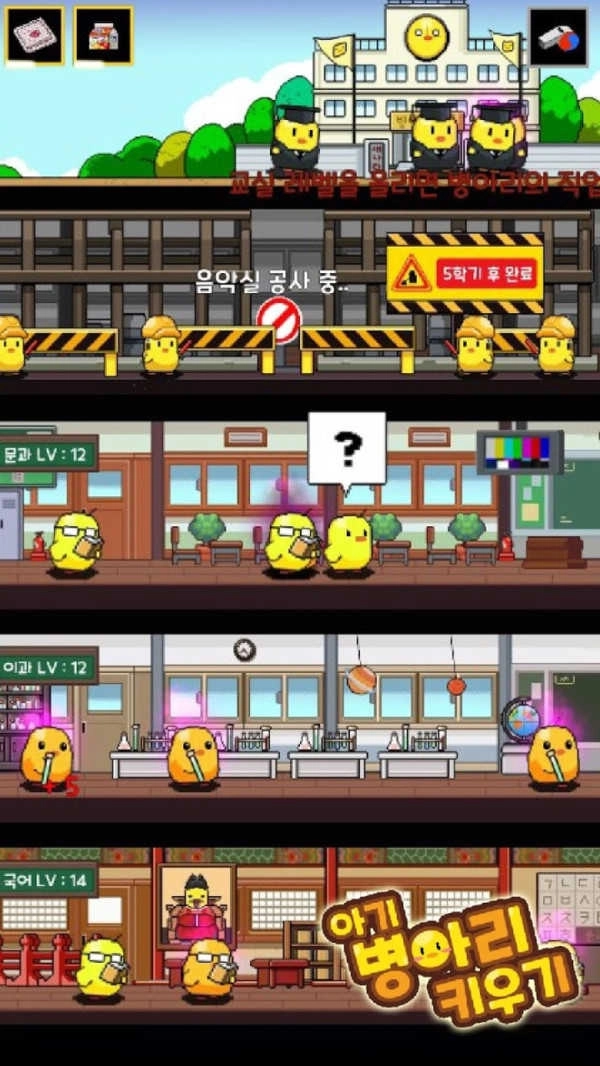 饲养小鸡模拟器(4)