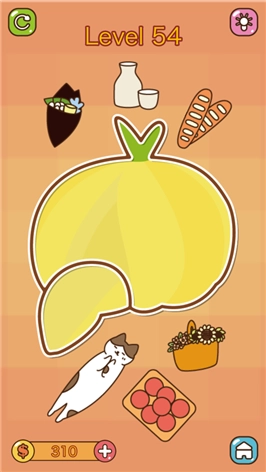 猫咪怎么这么懒(5)