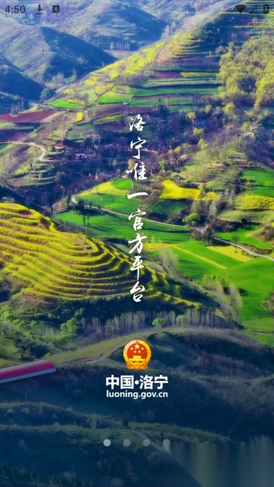 洛宁县政府图1