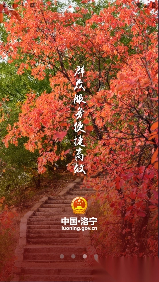 洛宁县政府图3