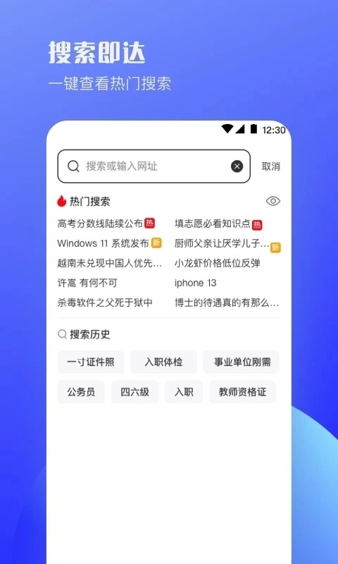 迷你浏览器绿色版