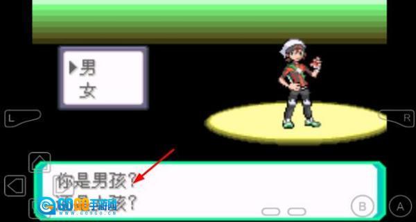 口袋妖怪究极绿宝石5图1