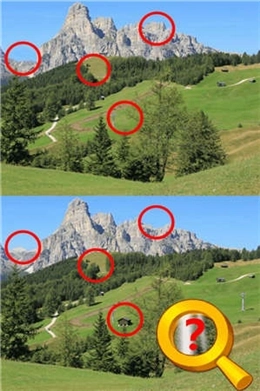 找茬高高手最新版