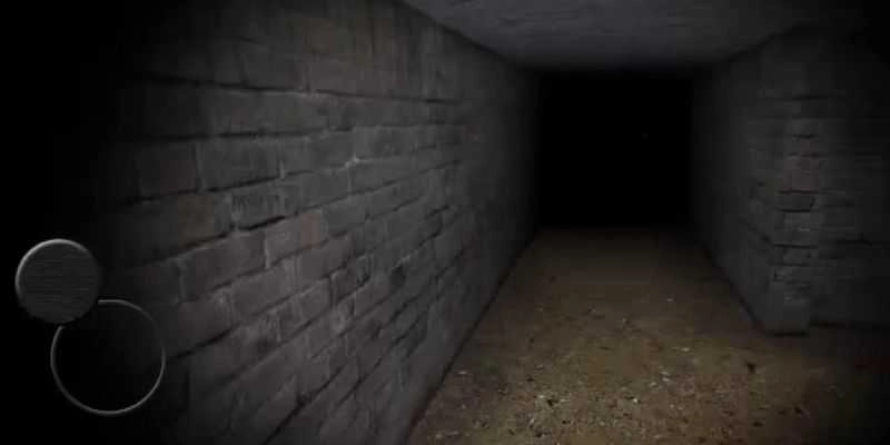 抖音恐怖地下室(Slendrina)图5