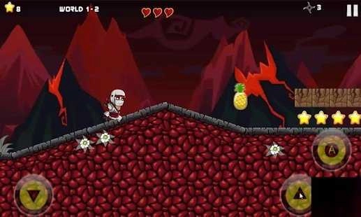 忍者战士暗影（Ninja Warrior）图2