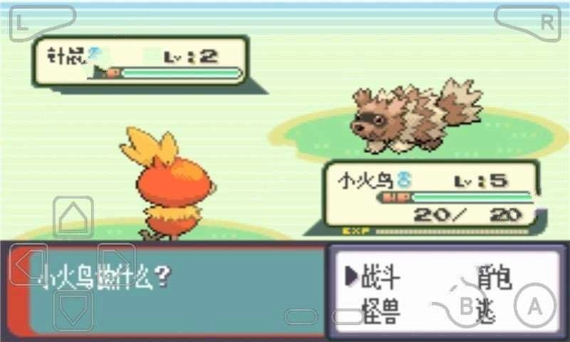 口袋妖怪绿宝石493最终版(3)