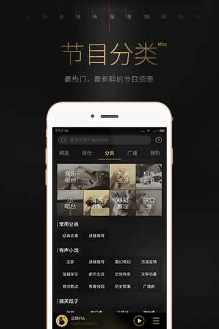 企鹅fm老版图2